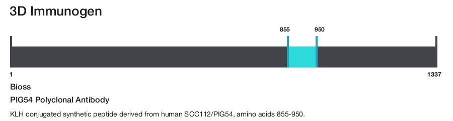 PIG54 Polyclonal Antibody