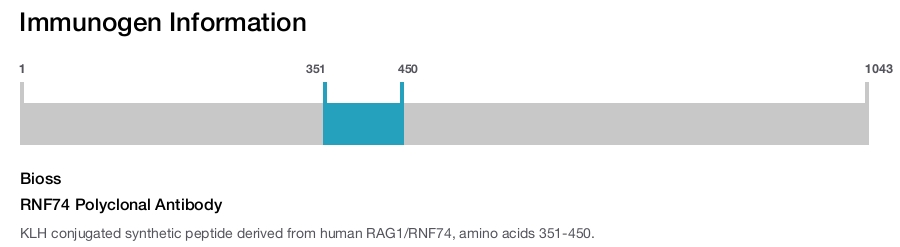 RNF74 Polyclonal Antibody