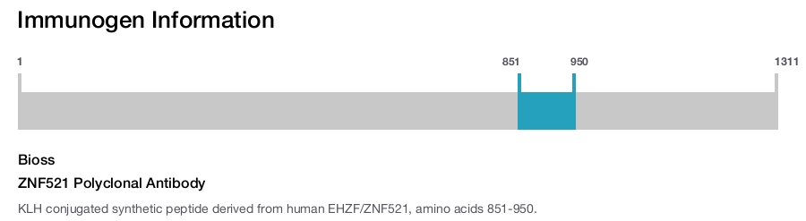 ZNF521 Polyclonal Antibody