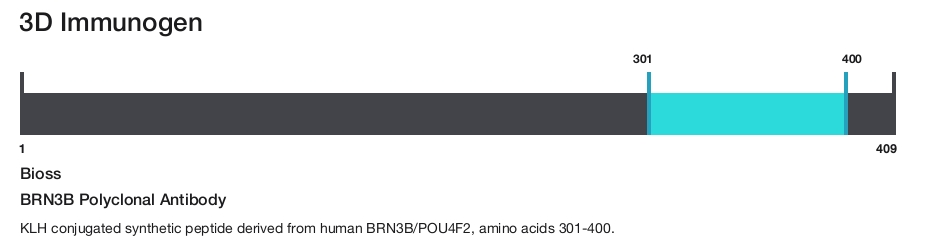 BRN3B Polyclonal Antibody