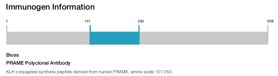 PRAME Polyclonal Antibody