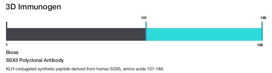 SSX5 Polyclonal Antibody