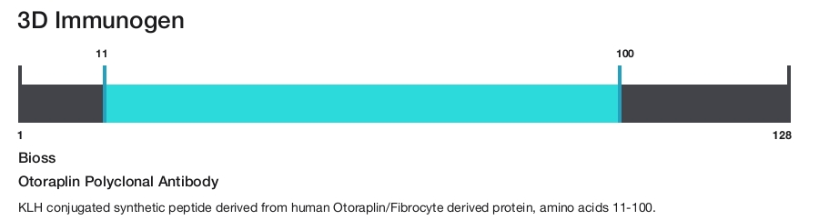 Otoraplin Polyclonal Antibody