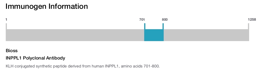 INPPL1 Polyclonal Antibody