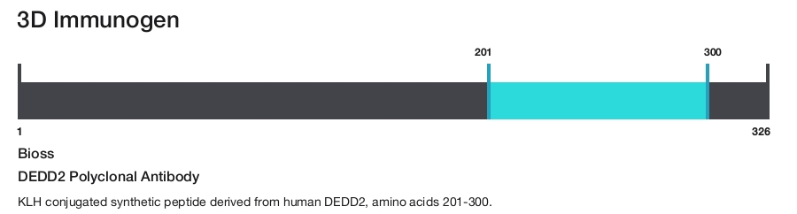 DEDD2 Polyclonal Antibody