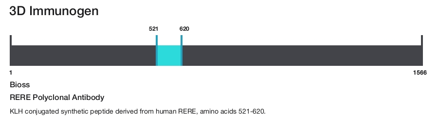 RERE Polyclonal Antibody