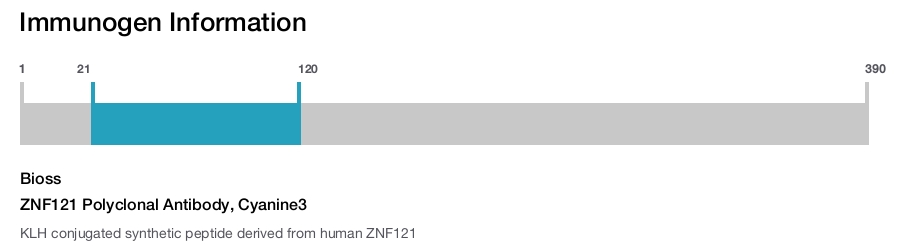 ZNF121 Polyclonal Antibody, Cyanine3