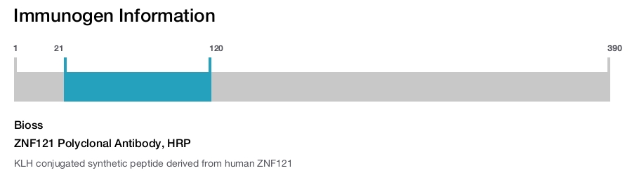 ZNF121 Polyclonal Antibody, HRP