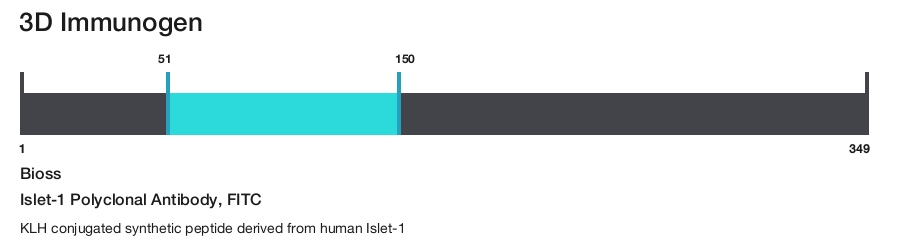 Islet-1 Polyclonal Antibody, FITC
