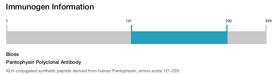 Pantophysin Polyclonal Antibody