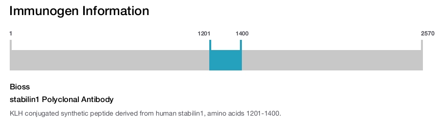 stabilin1 Polyclonal Antibody