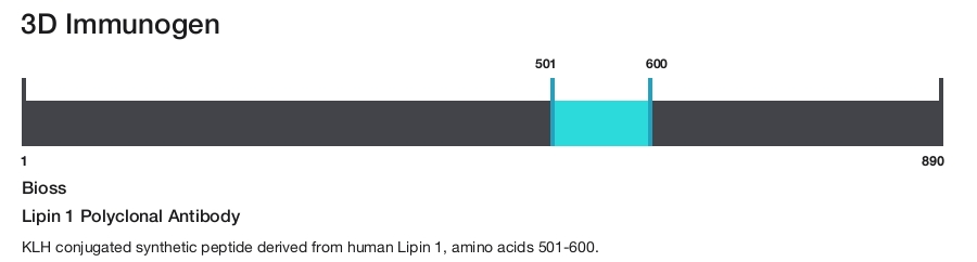 Lipin 1 Polyclonal Antibody
