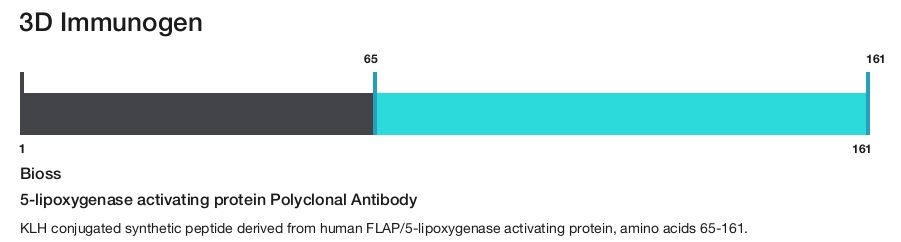 5-lipoxygenase activating protein Polyclonal Antibody