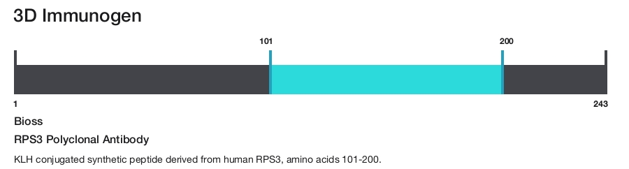 RPS3 Polyclonal Antibody