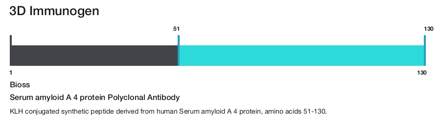 Serum amyloid A 4 protein Polyclonal Antibody
