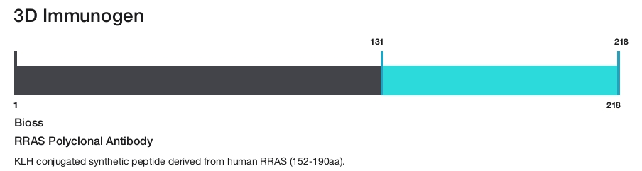 RRAS Polyclonal Antibody