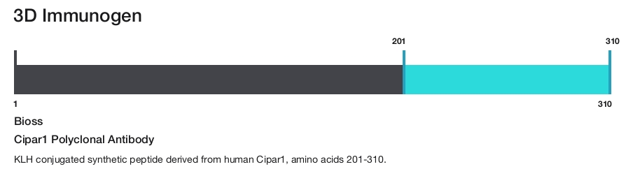 Cipar1 Polyclonal Antibody