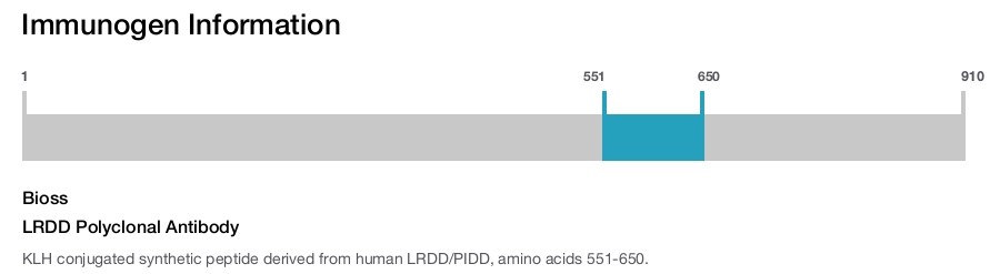 LRDD Polyclonal Antibody