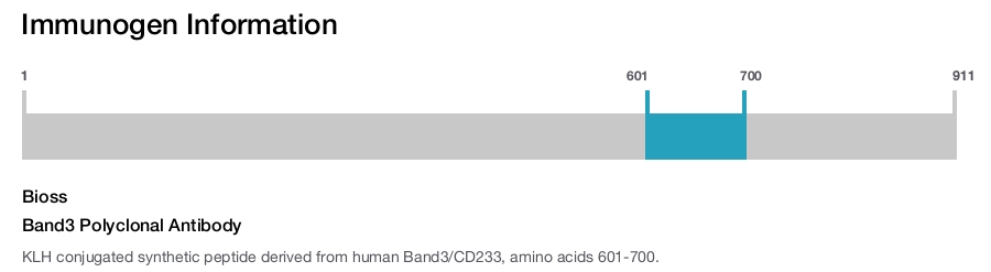 Band3 Polyclonal Antibody