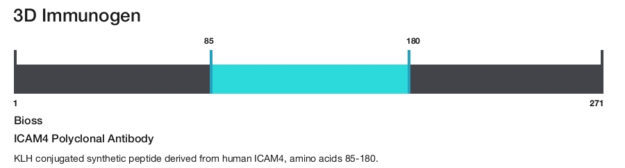 ICAM4 Polyclonal Antibody