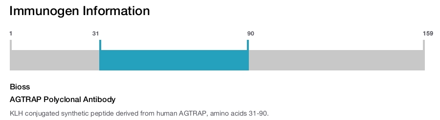 AGTRAP Polyclonal Antibody