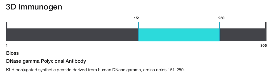DNase gamma Polyclonal Antibody