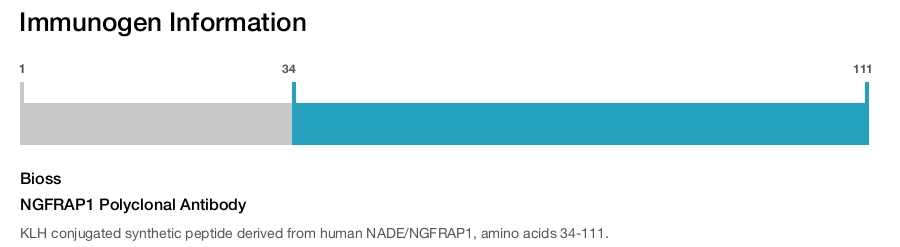 NGFRAP1 Polyclonal Antibody
