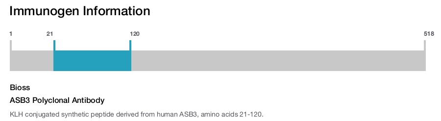 ASB3 Polyclonal Antibody
