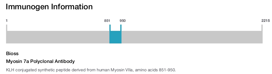 Myosin 7a Polyclonal Antibody