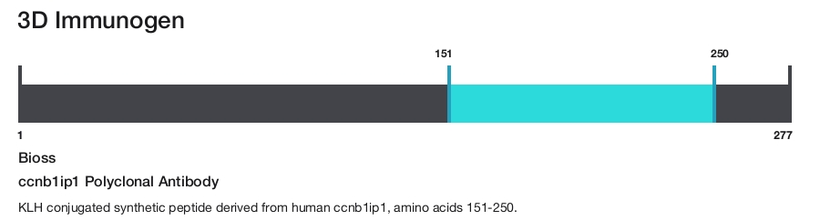 ccnb1ip1 Polyclonal Antibody