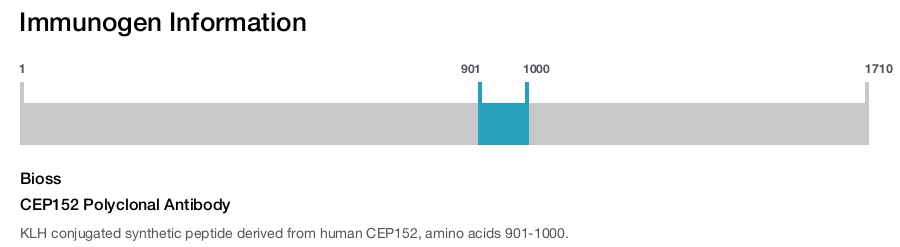 CEP152 Polyclonal Antibody