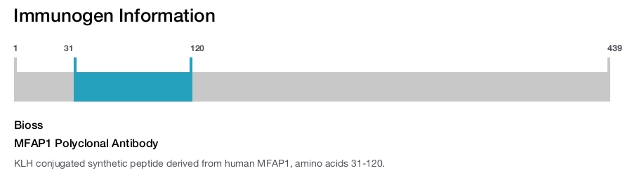 MFAP1 Polyclonal Antibody