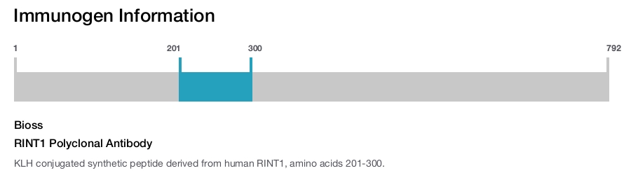 RINT1 Polyclonal Antibody