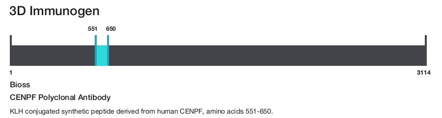 CENPF Polyclonal Antibody