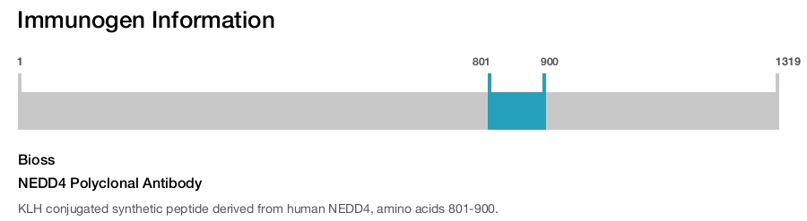 NEDD4 Polyclonal Antibody