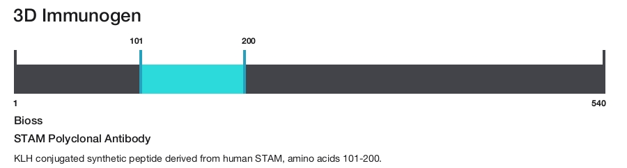 STAM Polyclonal Antibody