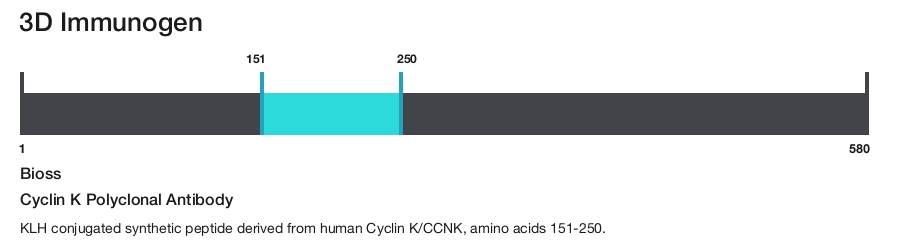 Cyclin K Polyclonal Antibody