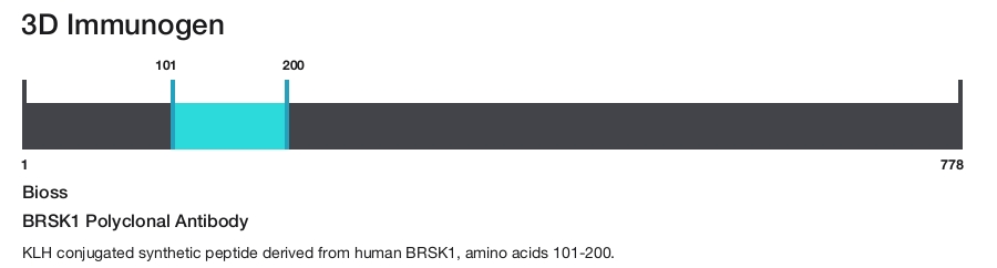 BRSK1 Polyclonal Antibody