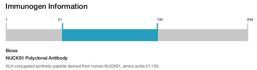 NUCKS1 Polyclonal Antibody