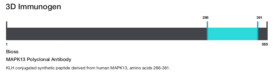MAPK13 Polyclonal Antibody