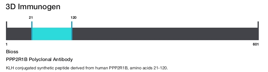 PPP2R1B Polyclonal Antibody