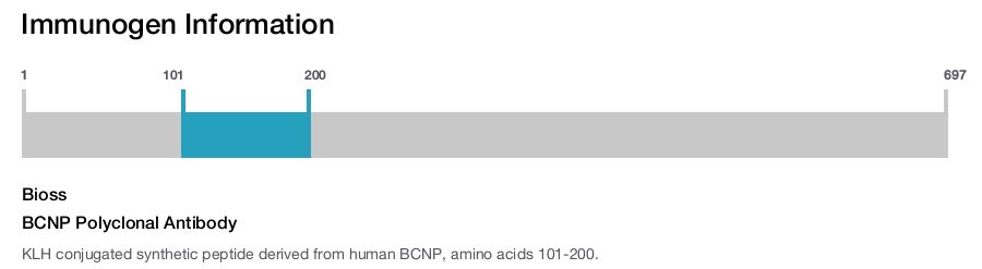 BCNP Polyclonal Antibody