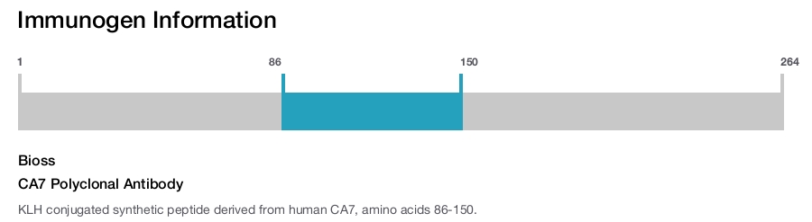 CA7 Polyclonal Antibody
