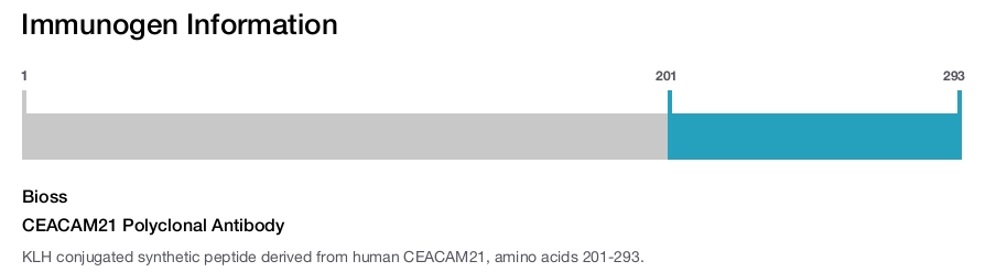CEACAM21 Polyclonal Antibody