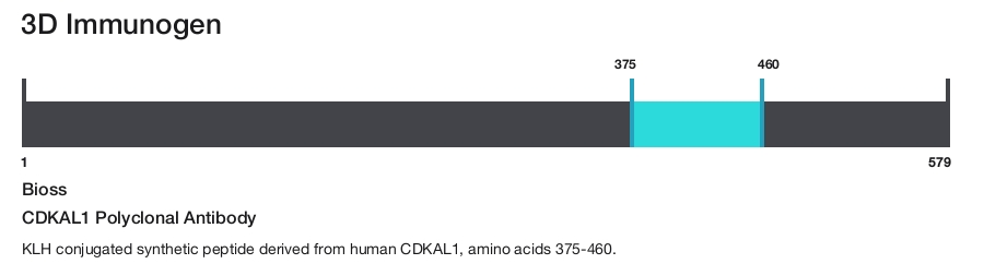 CDKAL1 Polyclonal Antibody