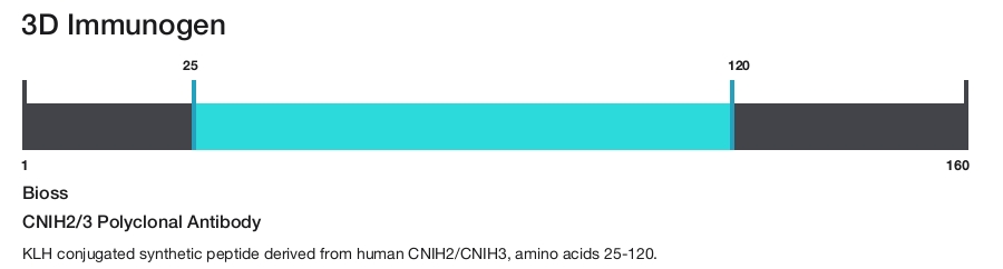 CNIH2/3 Polyclonal Antibody