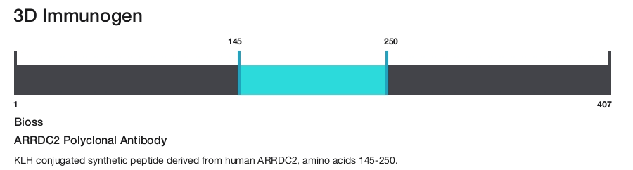ARRDC2 Polyclonal Antibody