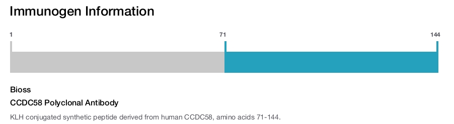 CCDC58 Polyclonal Antibody