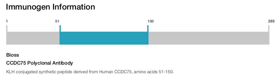 CCDC75 Polyclonal Antibody