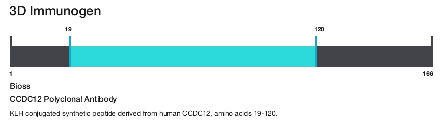 CCDC12 Polyclonal Antibody